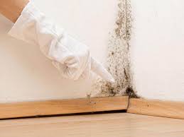 Best Environmental Consulting for Mold Prevention  in Lipatria, CA